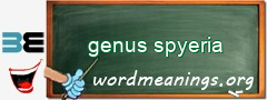 WordMeaning blackboard for genus spyeria
